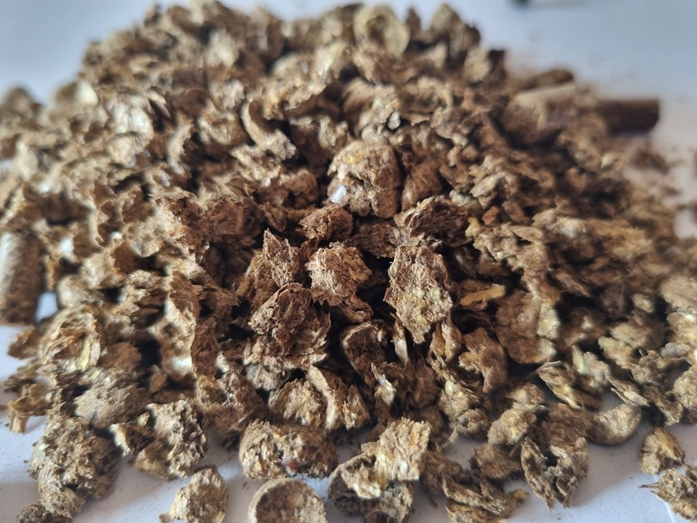 Absorbentai